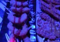 企业招聘文案的制作（构建企业招聘宣传文案的艺术与策略）