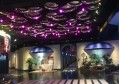 福州盆栽招聘文案编辑（福州绿植养护招聘文案创作专员）
