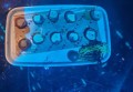 济南外贸招聘文案（济南国际商贸领域人才招募宣传）