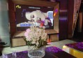 烫染招聘文案（创意染发与烫发师招募启事）