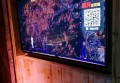 杭州小费高的夜场招聘点歌公主,00后做夜场的多吗_