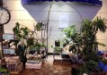 小菜店招聘文案简短（诚聘！小型菜店岗位招募，简短文案）