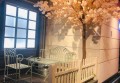 管理协会招聘文案（携手共创未来：管理协会人才招募启事）