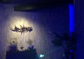 杭州萧山区临浦镇附近夜场招聘包厢管家,可以兼全职