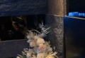 招聘崩溃表情包文案（创意征集：打造趣味招聘崩溃瞬间表情包）