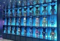 超市招工 招聘文案（诚邀加入：超市团队扩建——招聘启事）